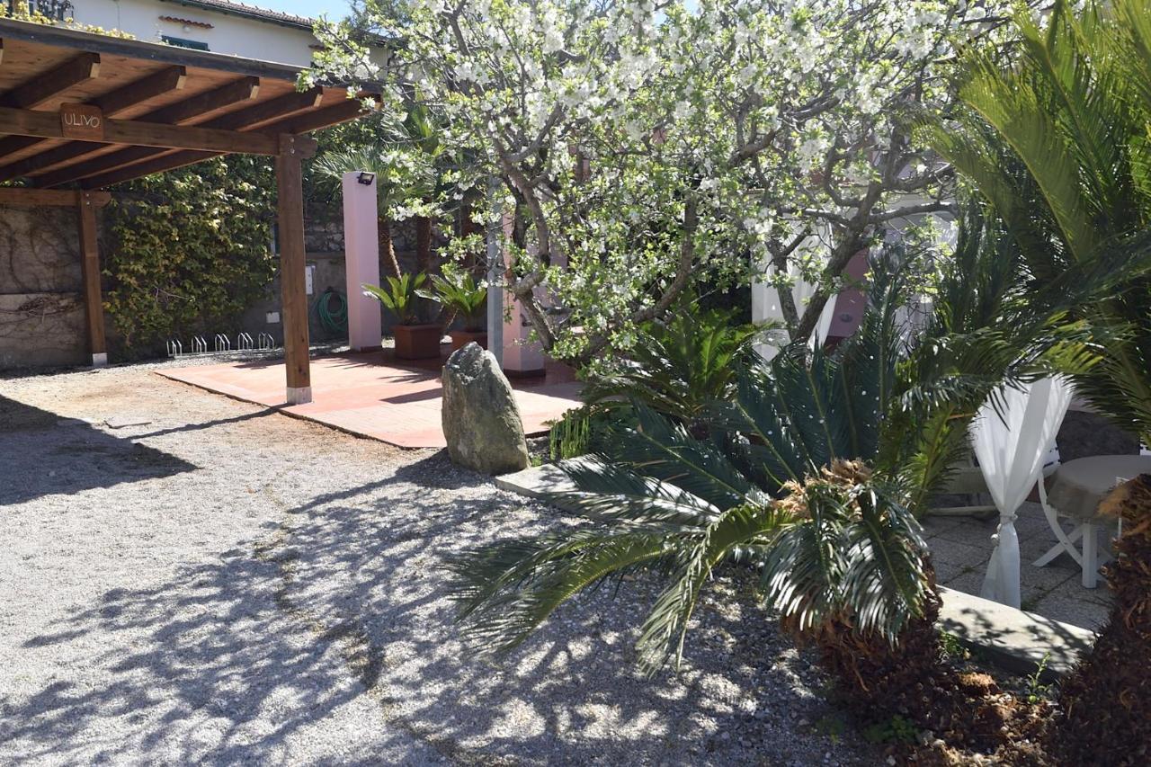Villa Fiore Apartments ポルトフェッラーイオ エクステリア 写真