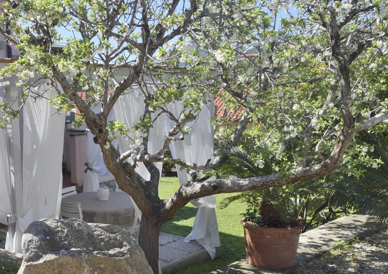 Villa Fiore Apartments ポルトフェッラーイオ エクステリア 写真