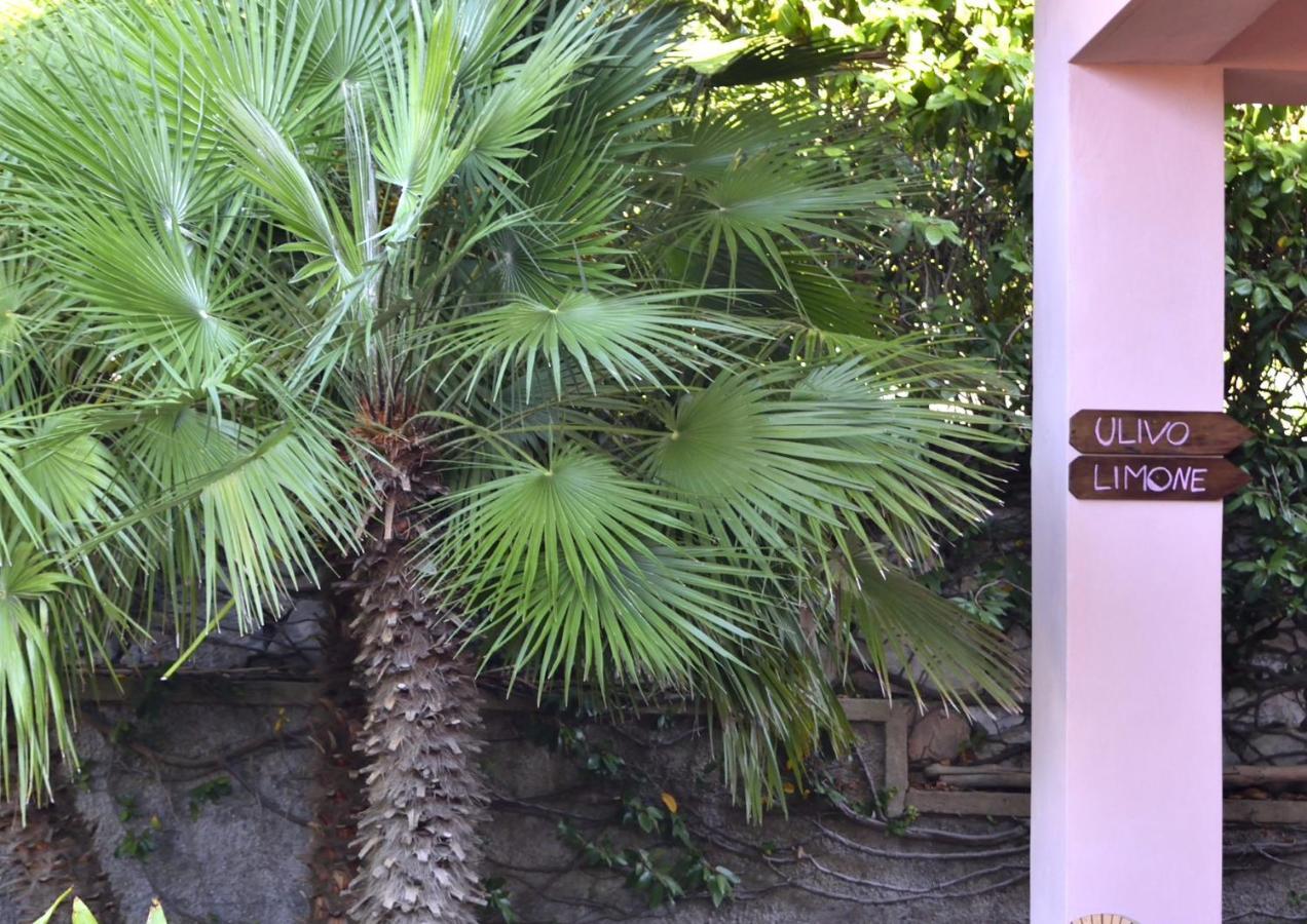 Villa Fiore Apartments ポルトフェッラーイオ エクステリア 写真